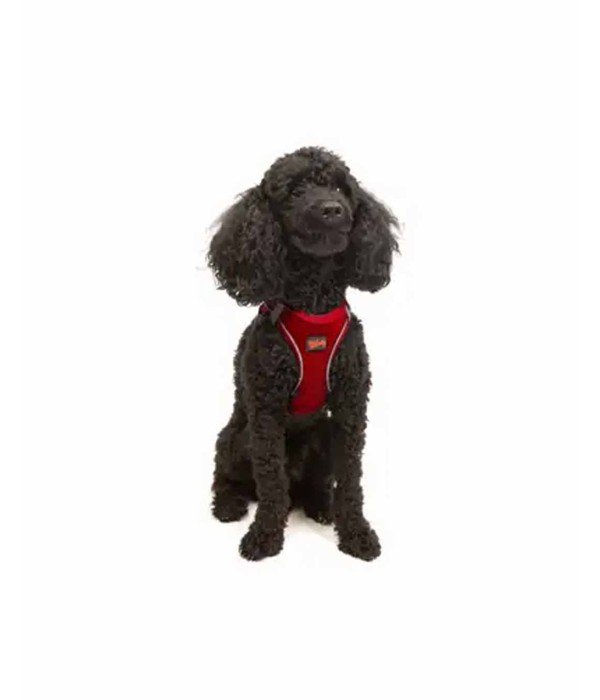 Tailpetz Air-mesh Harness Köpek Göğüs Tasması - Kırmızı S