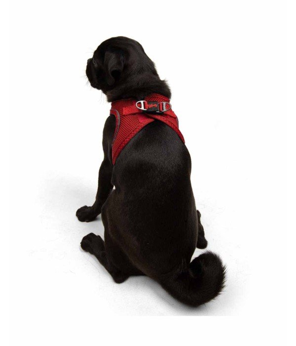 Tailpetz Air-mesh Harness Köpek Göğüs Tasması - Kırmızı M