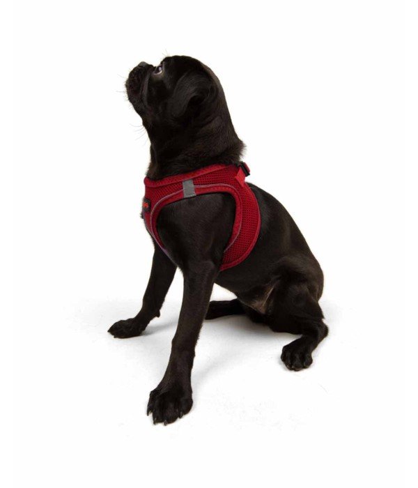 Tailpetz Air-mesh Harness Köpek Göğüs Tasması - Kırmızı M
