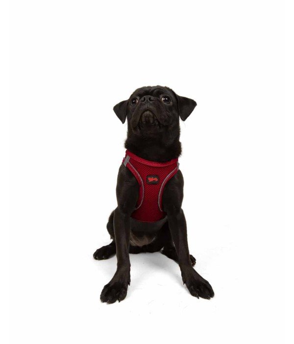 Tailpetz Air-mesh Harness Köpek Göğüs Tasması - Kırmızı M