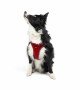 Tailpetz Air-mesh Harness Köpek Göğüs Tasması - Kırmızı XL
