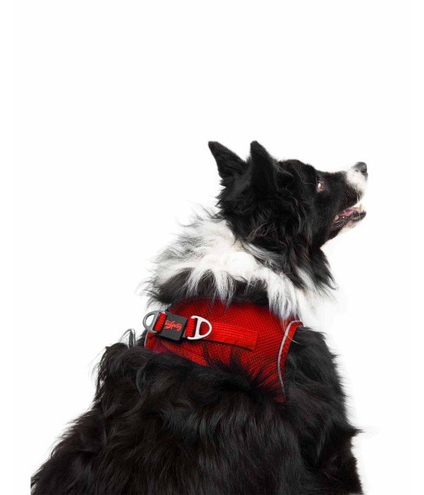 Tailpetz Air-mesh Harness Köpek Göğüs Tasması - Kırmızı XL