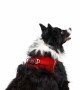 Tailpetz Air-mesh Harness Köpek Göğüs Tasması - Kırmızı XL