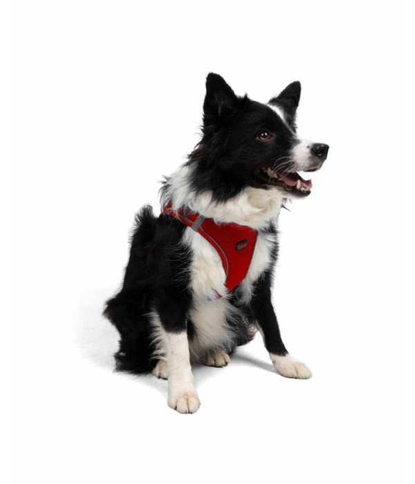 Tailpetz Air-mesh Harness Köpek Göğüs Tasması - Kırmızı XL