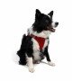 Tailpetz Air-mesh Harness Köpek Göğüs Tasması - Kırmızı XL