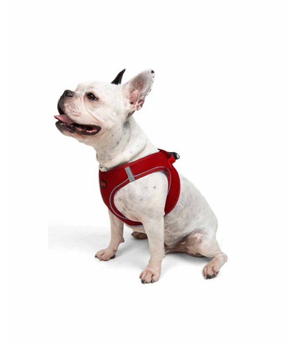 Tailpetz Air-mesh Harness Köpek Göğüs Tasması - Kırmızı L