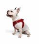 Tailpetz Air-mesh Harness Köpek Göğüs Tasması - Kırmızı L