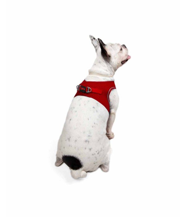 Tailpetz Air-mesh Harness Köpek Göğüs Tasması - Kırmızı L