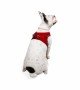 Tailpetz Air-mesh Harness Köpek Göğüs Tasması - Kırmızı L
