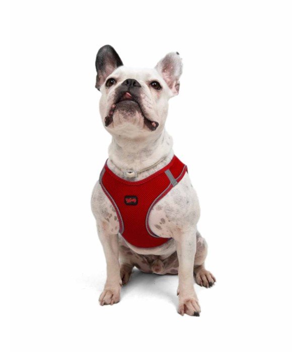 Tailpetz Air-mesh Harness Köpek Göğüs Tasması - Kırmızı L