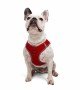 Tailpetz Air-mesh Harness Köpek Göğüs Tasması - Kırmızı L