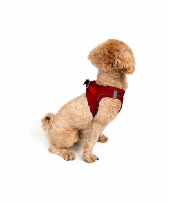 Tailpetz Air-mesh Harness Köpek Göğüs Tasması - Kırmızı 2XS
