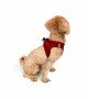 Tailpetz Air-mesh Harness Köpek Göğüs Tasması - Kırmızı 2XS