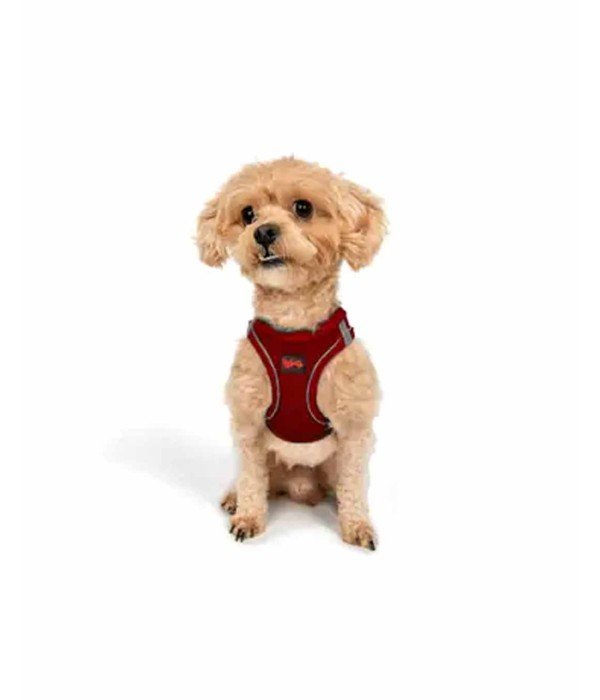 Tailpetz Air-mesh Harness Köpek Göğüs Tasması - Kırmızı 2XS