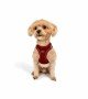 Tailpetz Air-mesh Harness Köpek Göğüs Tasması - Kırmızı 2XS
