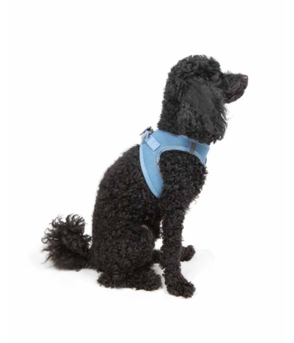 Tailpetz Air-mesh Harness Köpek Göğüs Tasması - Mavi XS