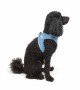 Tailpetz Air-mesh Harness Köpek Göğüs Tasması - Mavi XS