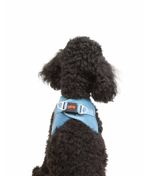 Tailpetz Air-mesh Harness Köpek Göğüs Tasması - Mavi XS