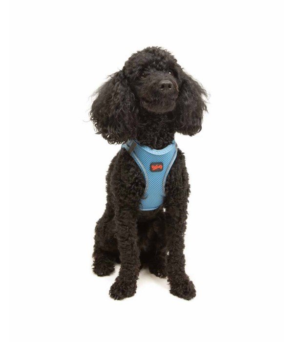 Tailpetz Air-mesh Harness Köpek Göğüs Tasması - Mavi XS