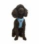 Tailpetz Air-mesh Harness Köpek Göğüs Tasması - Mavi XS