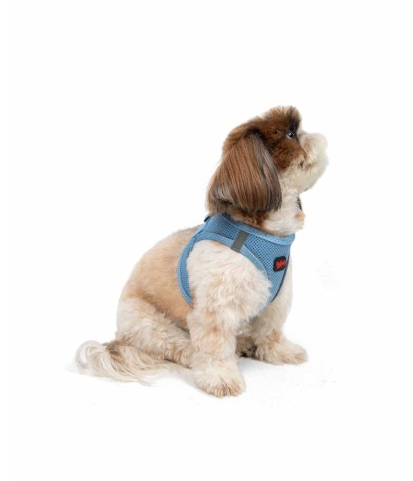 Tailpetz Air-mesh Harness Köpek Göğüs Tasması - Mavi S
