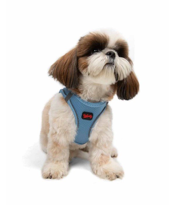 Tailpetz Air-mesh Harness Köpek Göğüs Tasması - Mavi S