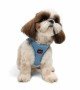 Tailpetz Air-mesh Harness Köpek Göğüs Tasması - Mavi S