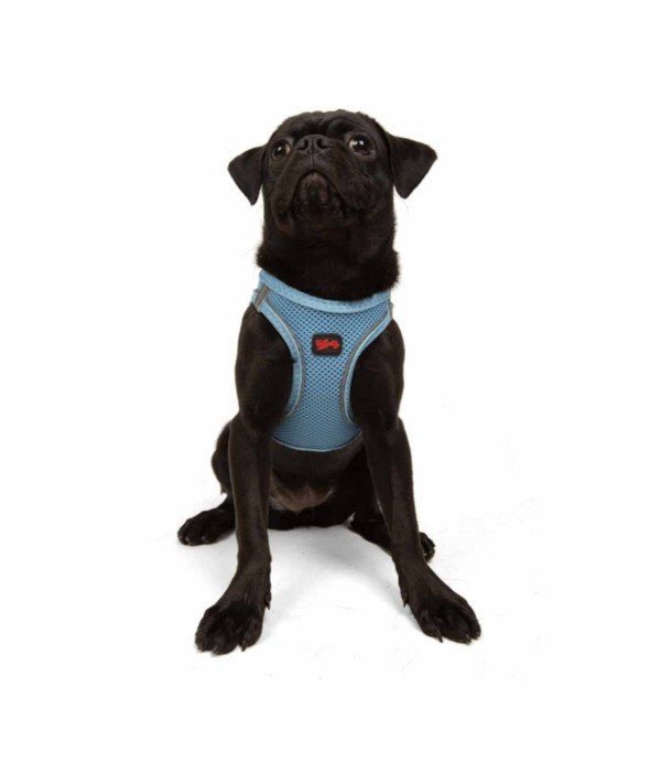 Tailpetz Air-mesh Harness Köpek Göğüs Tasması - Mavi M Tailpetz Air-mesh Harness Köpek Göğüs Tasması - Mavi M