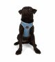 Tailpetz Air-mesh Harness Köpek Göğüs Tasması - Mavi M Tailpetz Air-mesh Harness Köpek Göğüs Tasması - Mavi M