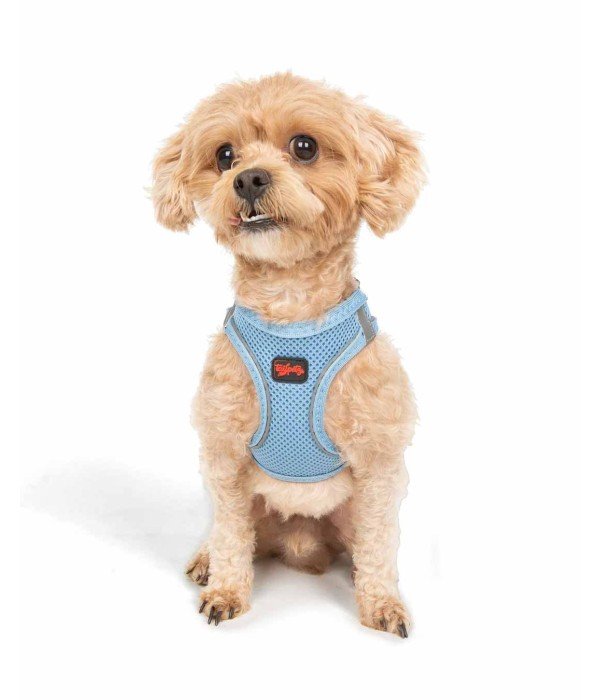 Tailpetz Air-mesh Harness Köpek Göğüs Tasması - Mavi 3XS