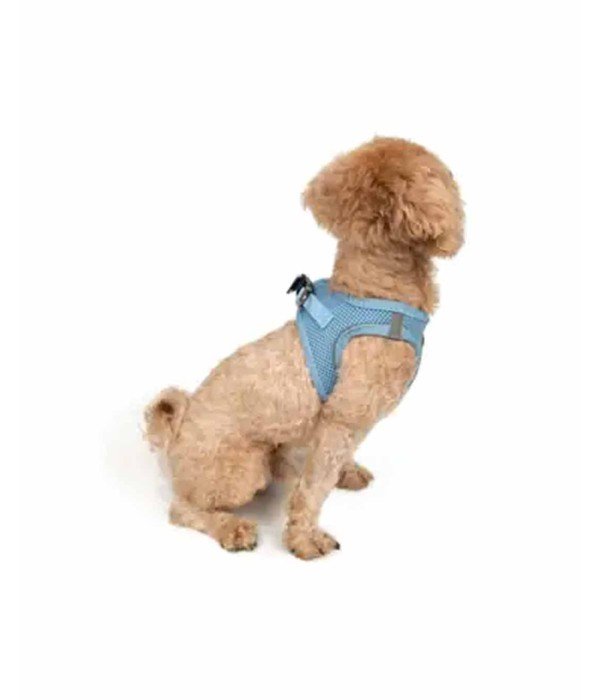 Tailpetz Air-mesh Harness Köpek Göğüs Tasması - Mavi 3XS