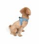 Tailpetz Air-mesh Harness Köpek Göğüs Tasması - Mavi 3XS