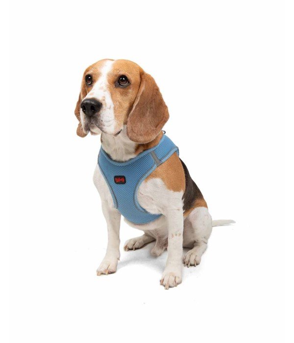 Tailpetz Air-mesh Harness Köpek Göğüs Tasması - Mavi L
