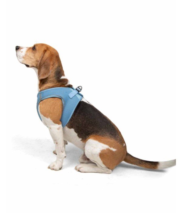 Tailpetz Air-mesh Harness Köpek Göğüs Tasması - Mavi L