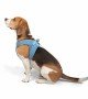 Tailpetz Air-mesh Harness Köpek Göğüs Tasması - Mavi L