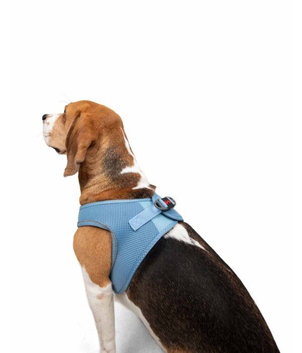 Tailpetz Air-mesh Harness Köpek Göğüs Tasması - Mavi L