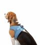 Tailpetz Air-mesh Harness Köpek Göğüs Tasması - Mavi L