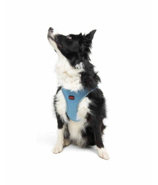 Tailpetz Air-mesh Harness Köpek Göğüs Tasması - Mavi XL
