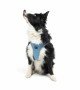 Tailpetz Air-mesh Harness Köpek Göğüs Tasması - Mavi XL