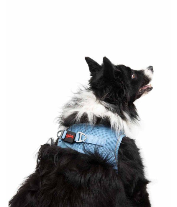 Tailpetz Air-mesh Harness Köpek Göğüs Tasması - Mavi XL