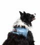 Tailpetz Air-mesh Harness Köpek Göğüs Tasması - Mavi XL