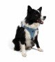 Tailpetz Air-mesh Harness Köpek Göğüs Tasması - Mavi XL