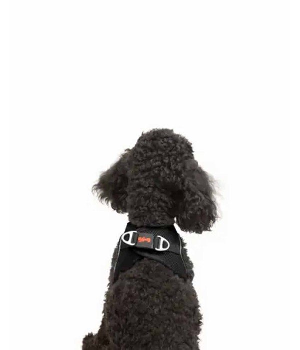 Tailpetz Air-mesh Harness Köpek Göğüs Tasması - Siyah XS