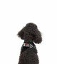 Tailpetz Air-mesh Harness Köpek Göğüs Tasması - Siyah XS