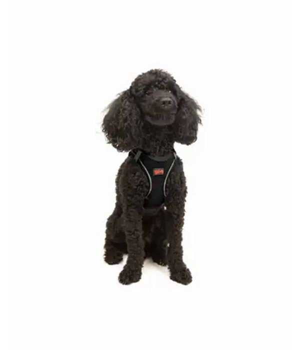 Tailpetz Air-mesh Harness Köpek Göğüs Tasması - Siyah XS