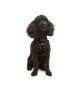 Tailpetz Air-mesh Harness Köpek Göğüs Tasması - Siyah XS