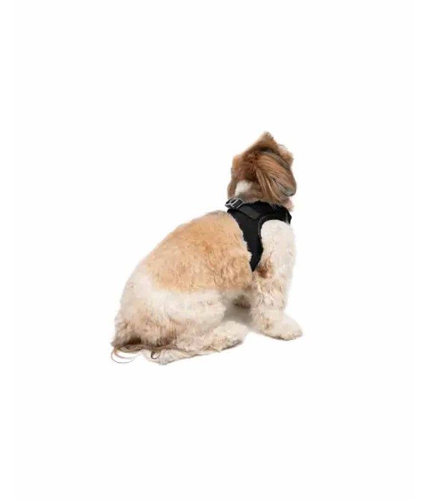 Tailpetz Air-mesh Harness Köpek Göğüs Tasması - Siyah S