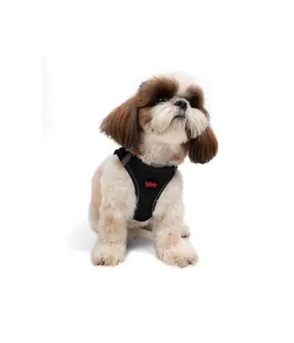 Tailpetz Air-mesh Harness Köpek Göğüs Tasması - Siyah S