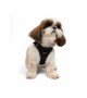 Tailpetz Air-mesh Harness Köpek Göğüs Tasması - Siyah S