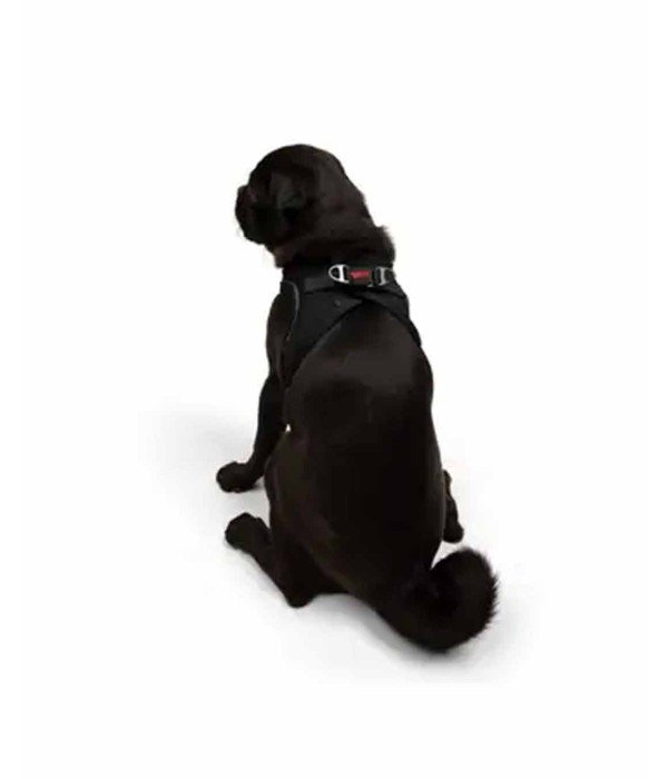 Tailpetz Air-mesh Harness Köpek Göğüs Tasması - Siyah M